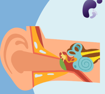 Les troubles associés à l’oreille en réflexologie